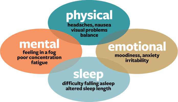 Concussion Facts